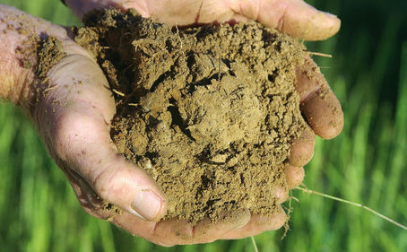 EARTHCHAT: Soil health and microbes