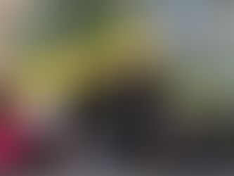 EARTHCHAT: Life in city - growing in the cracks of the concrete