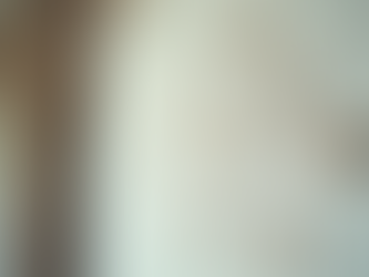 Explorando tu árbol familiar: una guía completa