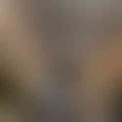 Top of the Rock Tour