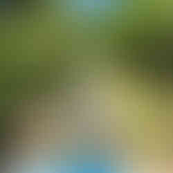 Mountain Coaster Branson