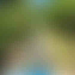 Branson Mountain Coaster