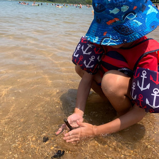 Moonshine Beach on Table Rock Lake