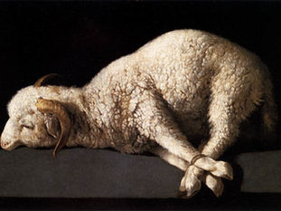 Fifth Sunday of Easter