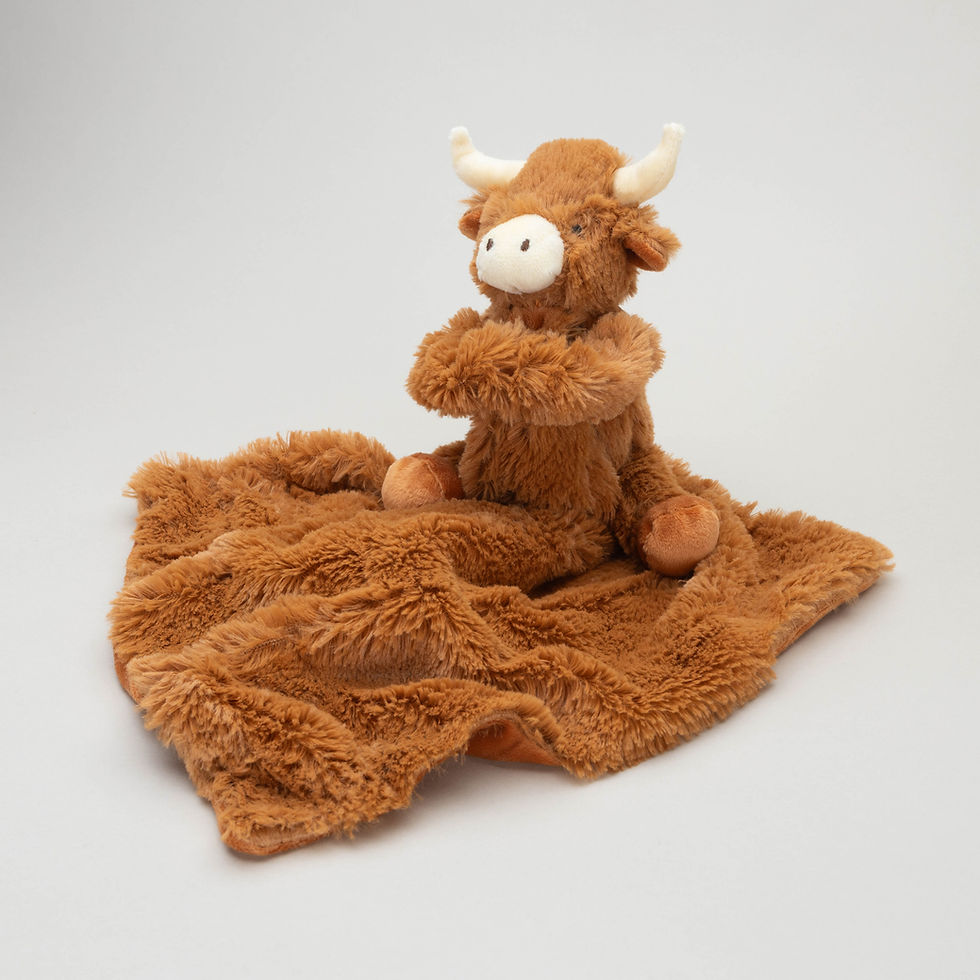 الصورة المصغرة: Longhorn Horny Highland Coo Cow Toy Soother Brown plus soother box 