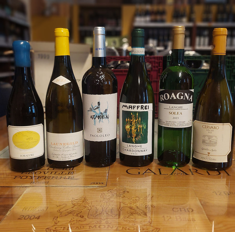 Italien Chardonnay  € 27