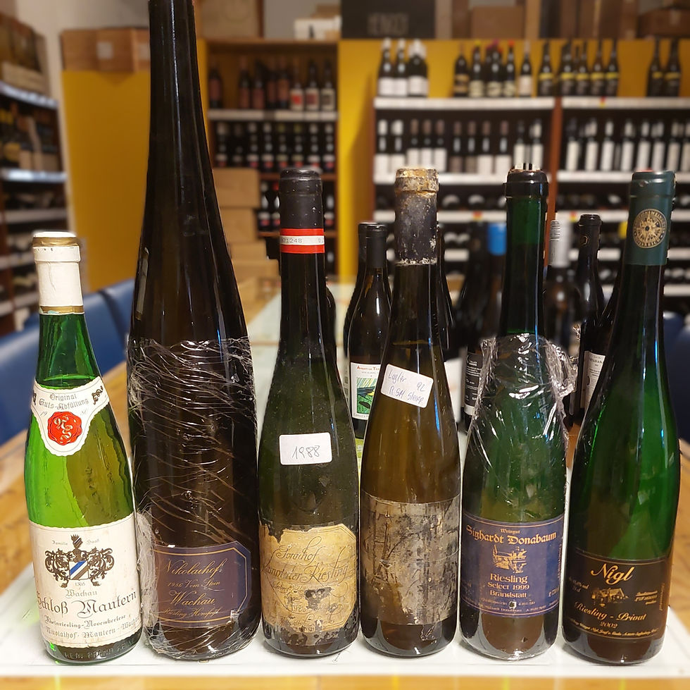 Riesling Österreich reif 37€