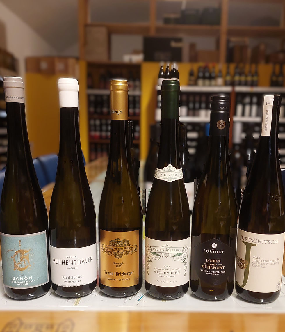 Grüner Veltliner 2023 33€