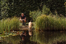 Gregor Bewegungstraining für Hunde