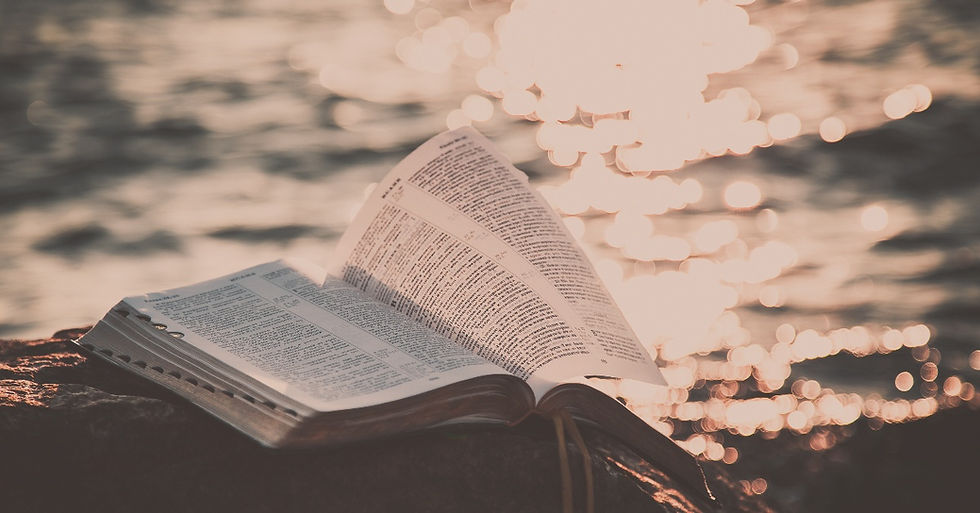 Learning the Bible