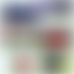 Vallance FC complete season