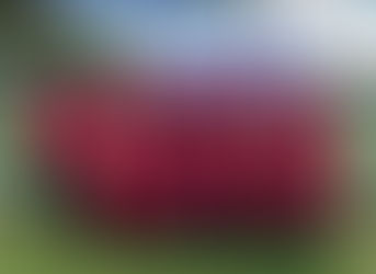 Veteran’s team play for charity