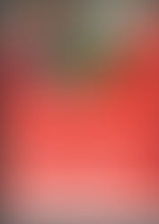 Summer Football Program