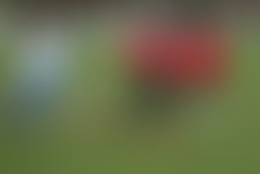 Tower Hamlets boy signs for a Premier Club