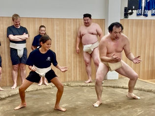 Sumo Shows in Tokyo