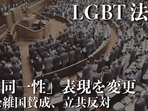 LGBT法案、衆議院通過 「性同一性」表現を変更 自公維国賛成、立共反対