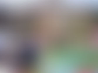 お花見探訪