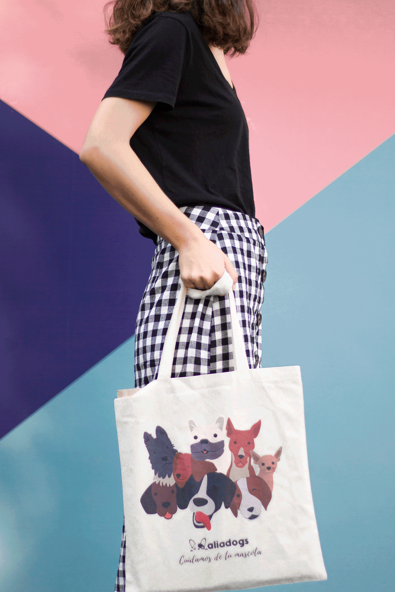 Totebags - foto de producto
