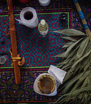 Ayahuasca ceremony with a shaman in Peru.jpg