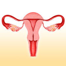 5 simple cures to replenishing your dry vagina after menopause