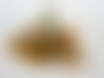 Need A Gallatin Alimony Attorney?