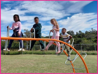Rustics Baby-T playground equipment