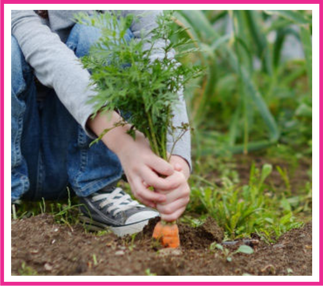 Rustics sow seeds and grow together