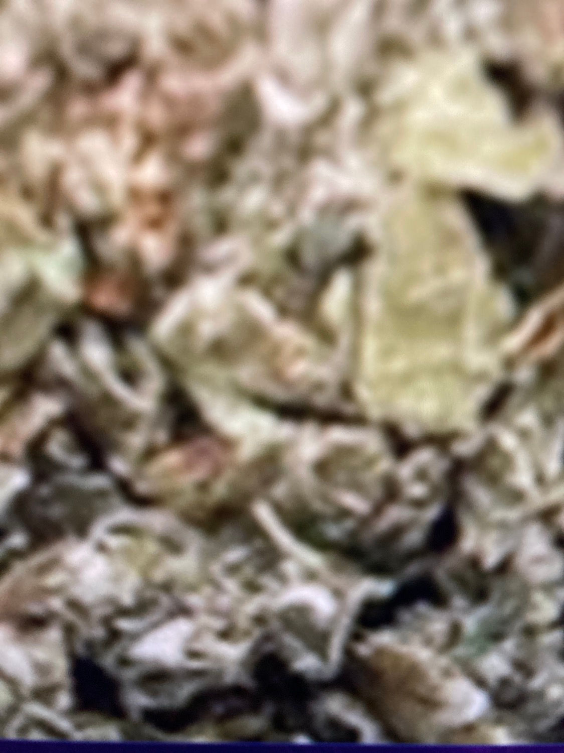 Organic Red Raspberry Loose Leaf