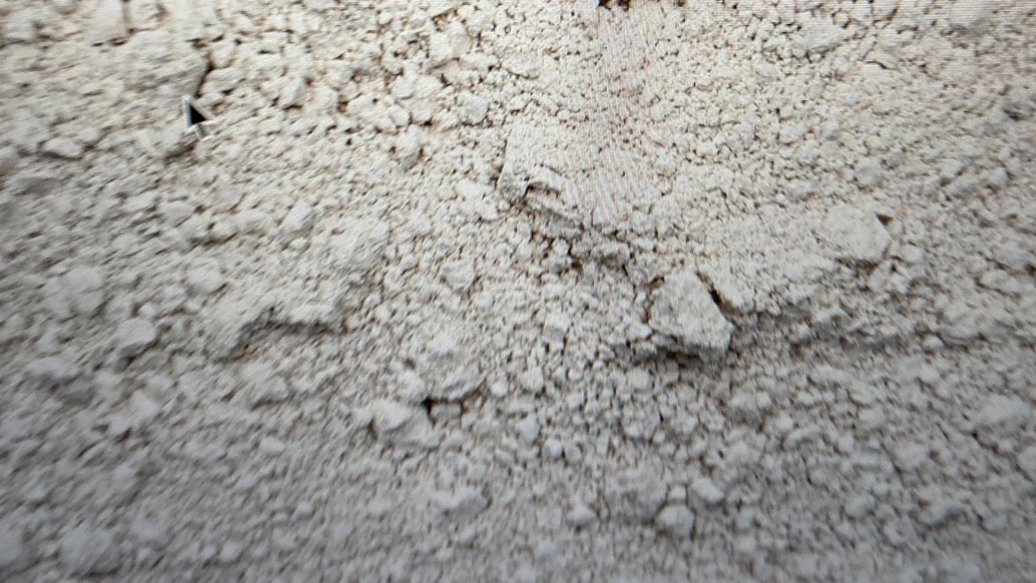 Organic Diatomaceous Earth