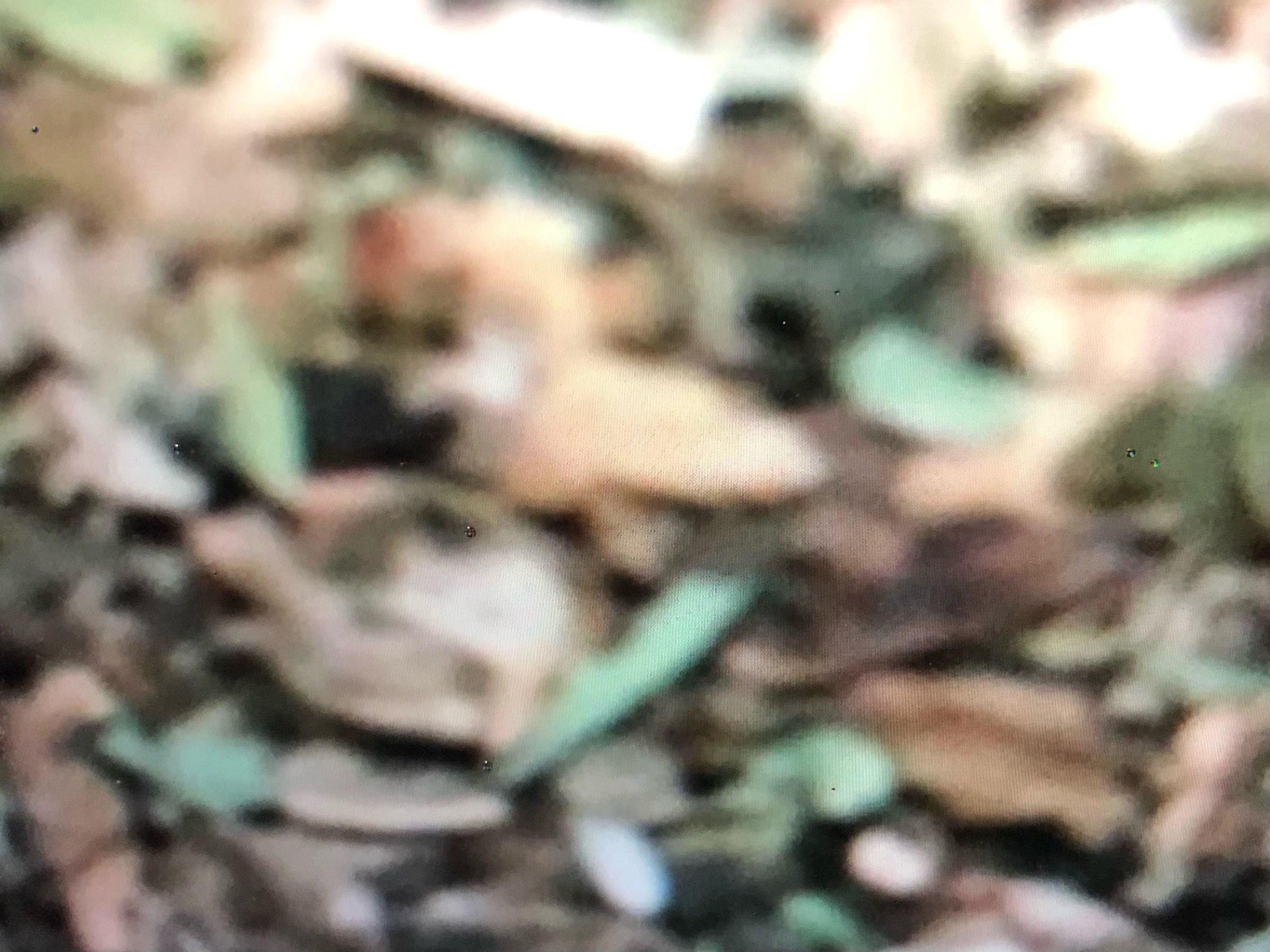 Organic Pregnancy Tea