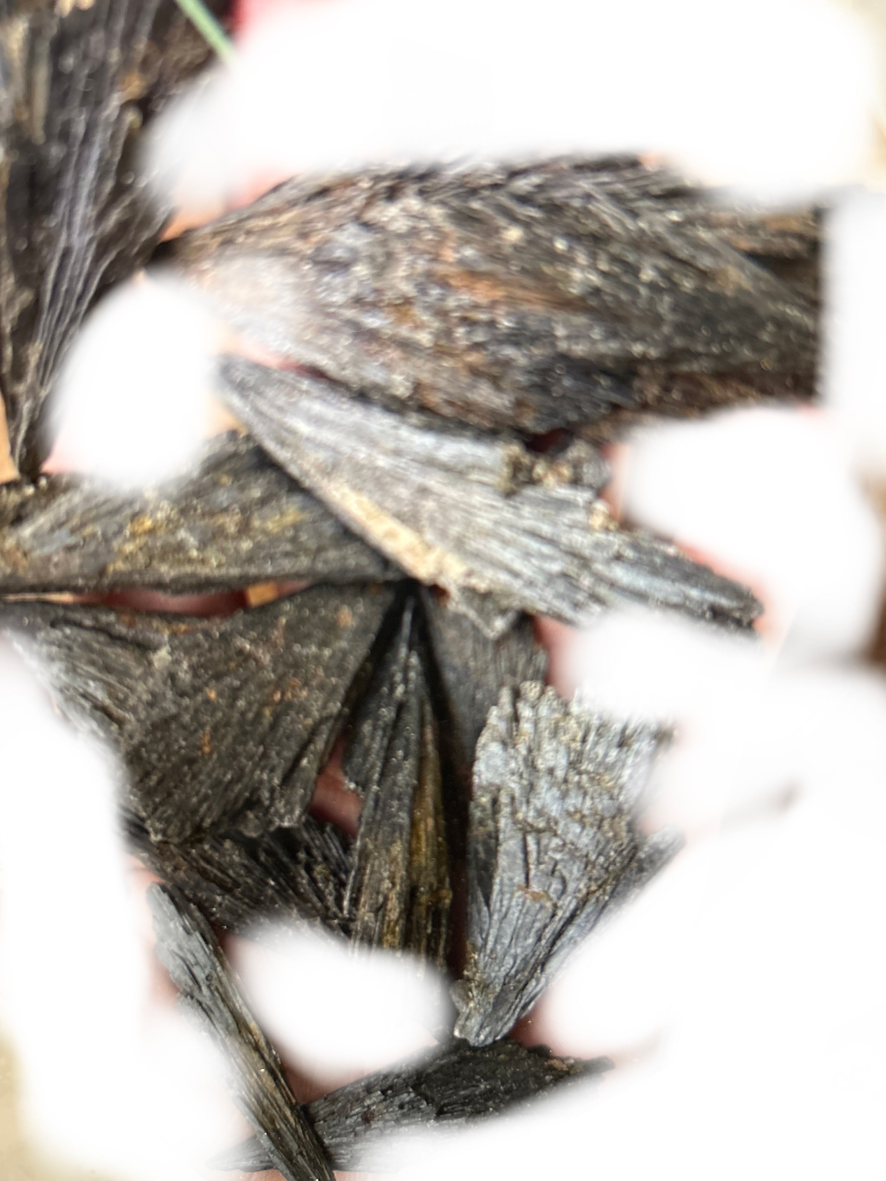 Black Kyanite Fan Rough