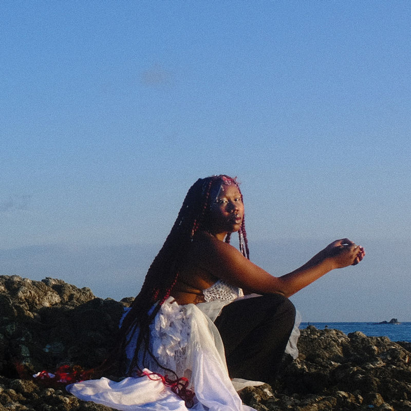 Odoneila © Mel Rodet