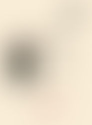 Programme de salle de Pelléas et Mélisande pour Angers Nantes Opéra