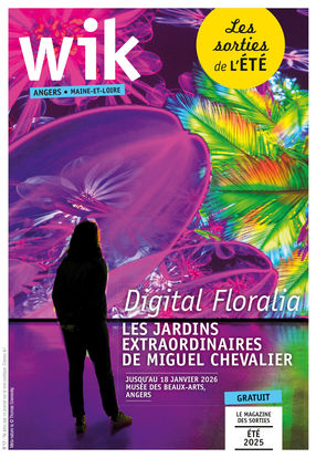 Wik Angers n° 17