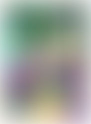 Kostar 72 habillé par Alexis Grasset