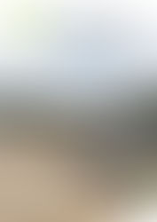 Vertou n°332 - mars 2017