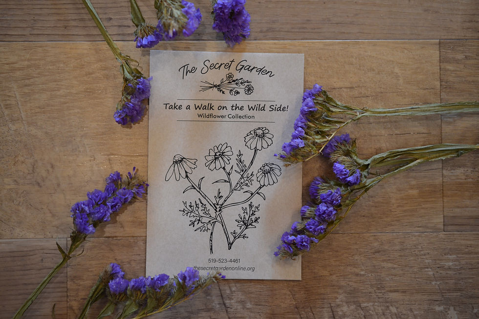 Thumbnail: The Secret Garden Seed: Seed Collections