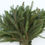 Thumbnail: Fresh Seasonal Greenery: Hemlock, Spruce, Cedar - 3 lb bundles