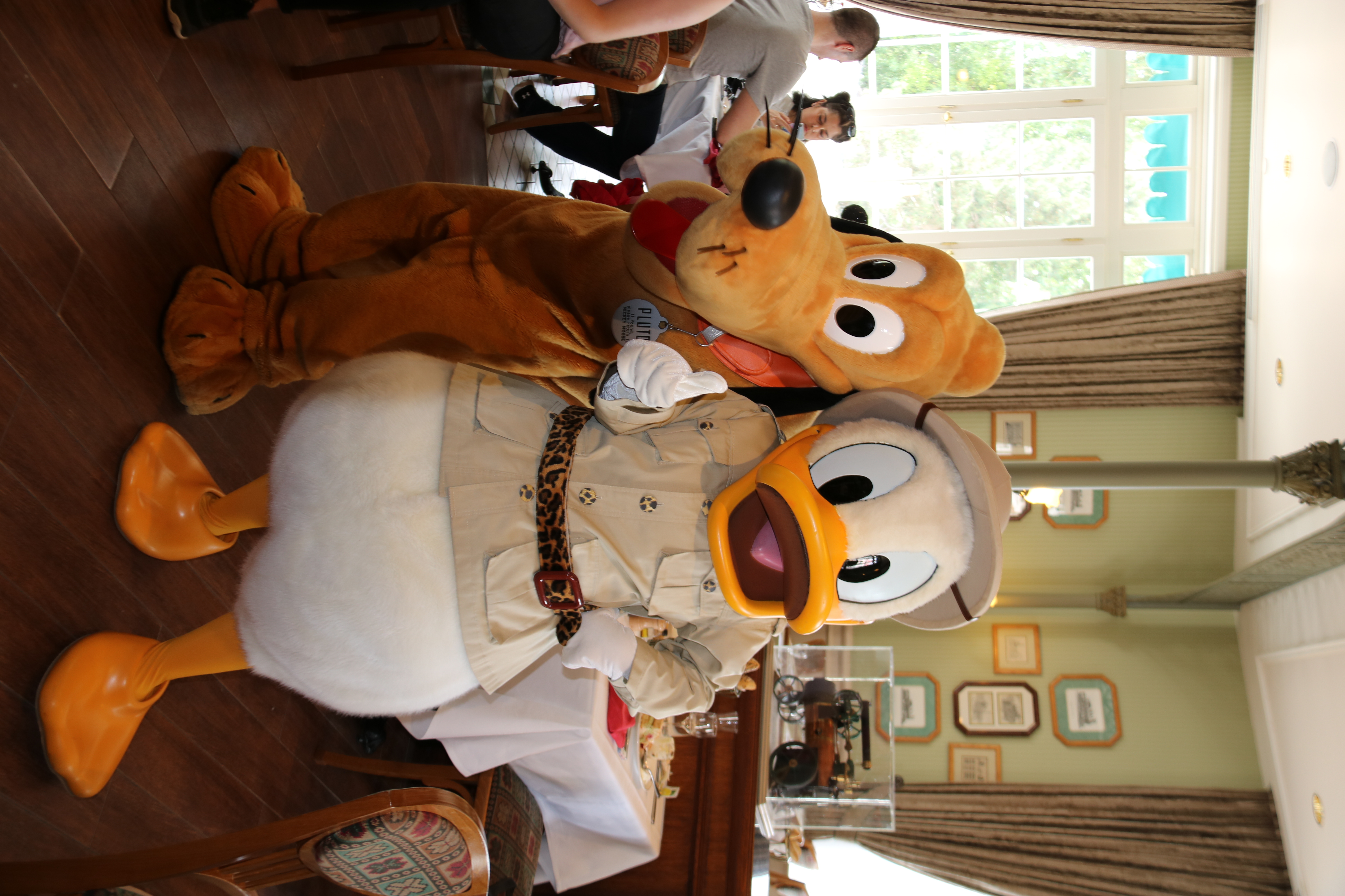 Pluto and Donald