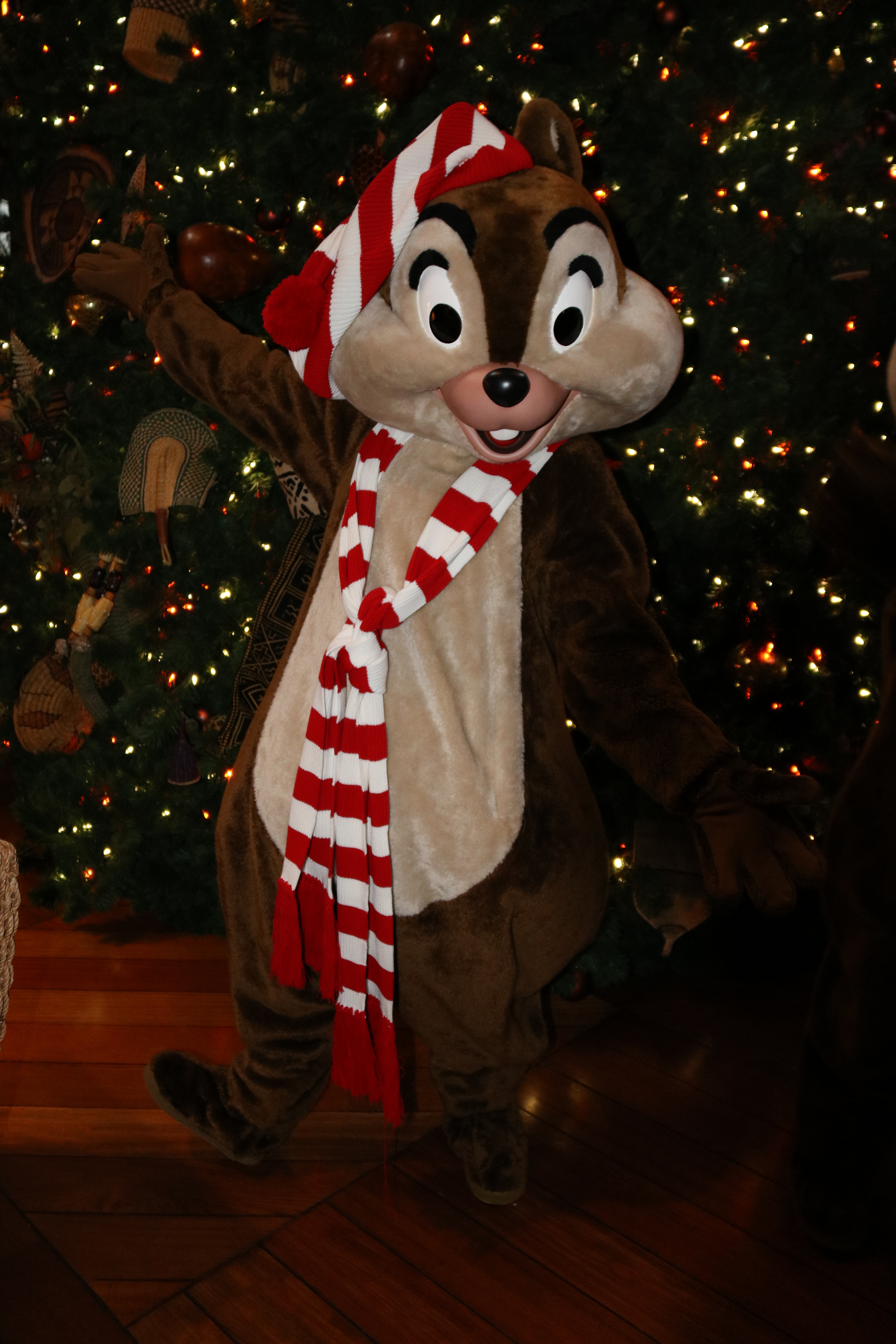 Animal Kingdom Lodge