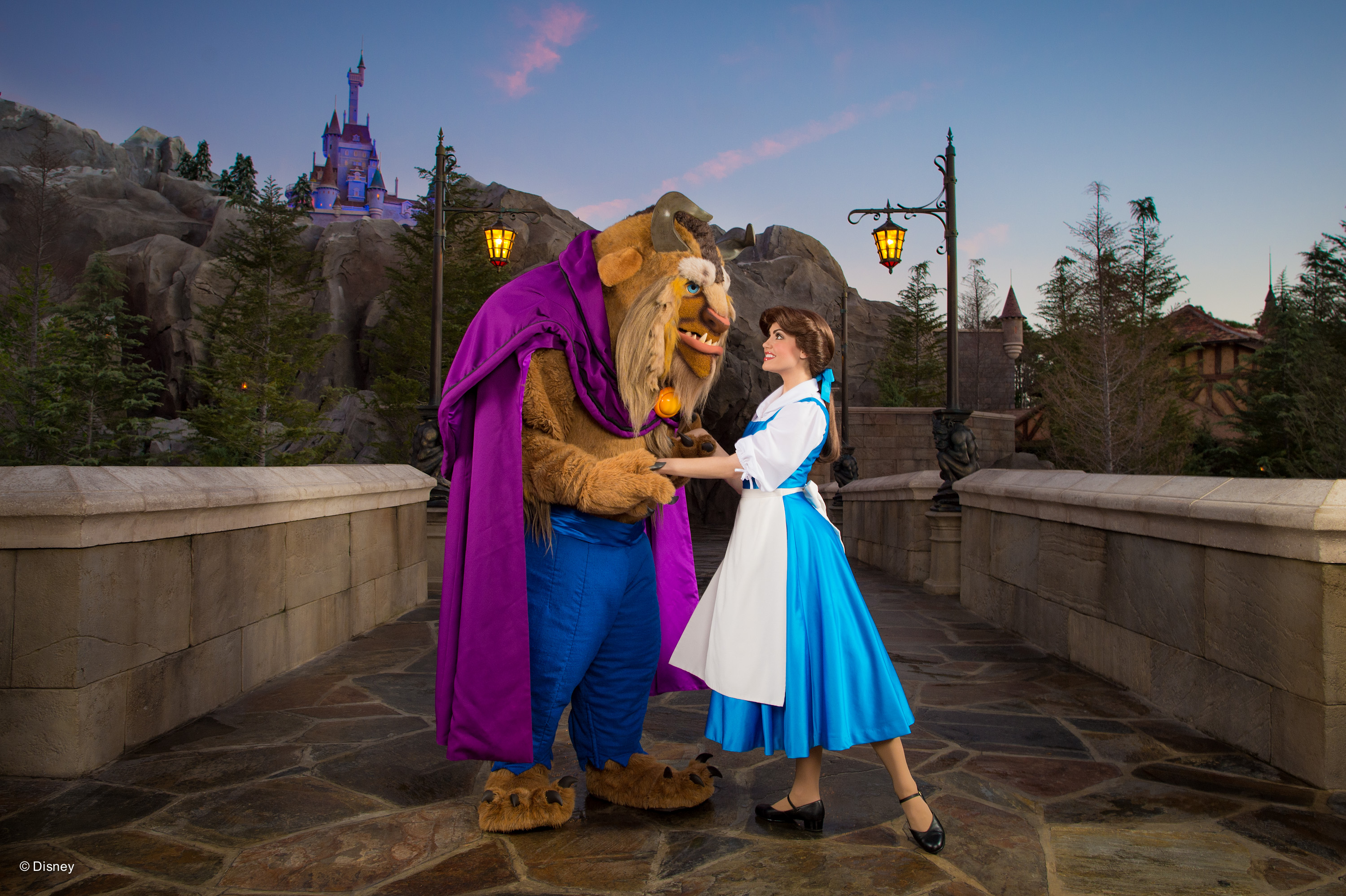 Fantasyland