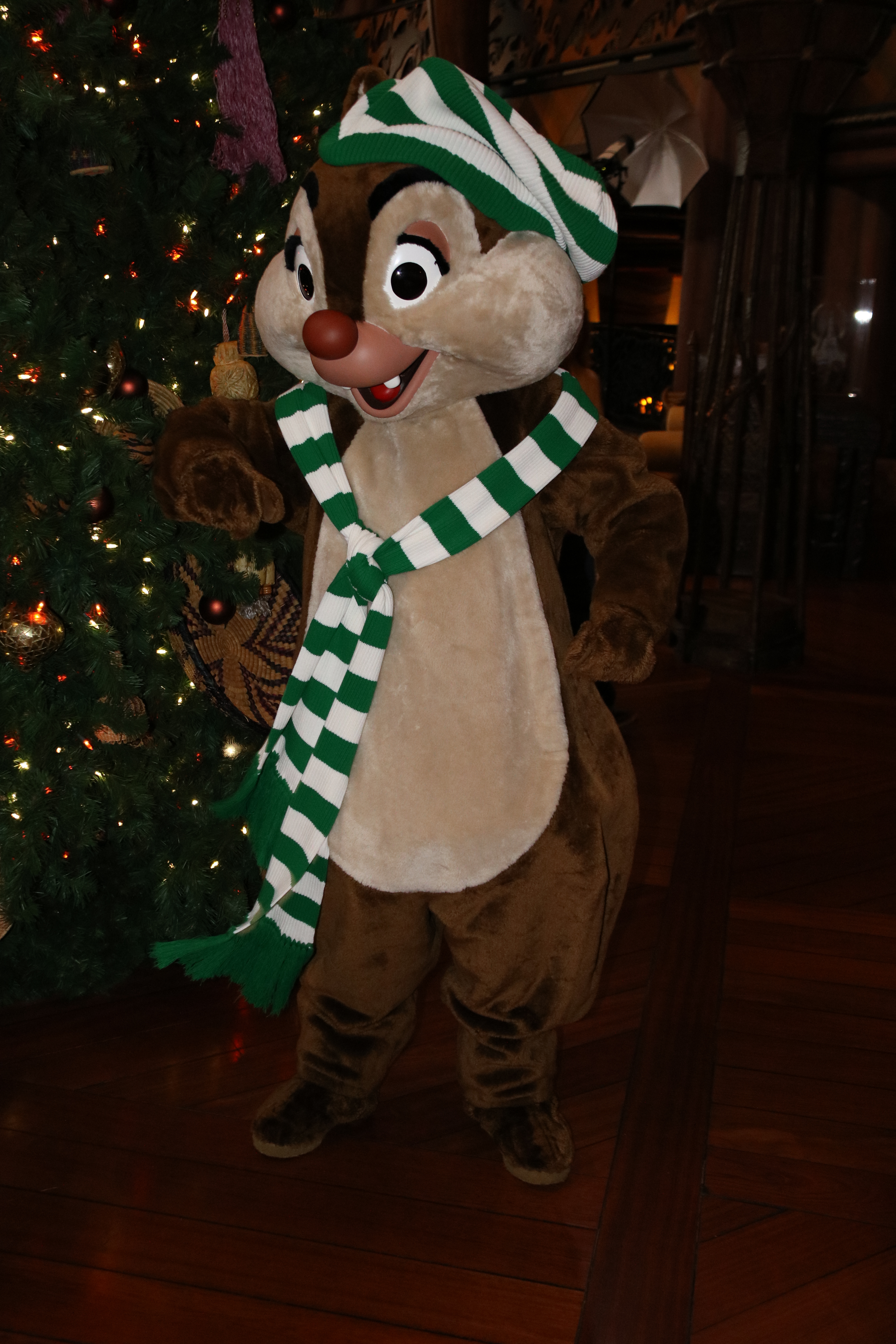 Animal Kingdom Lodge