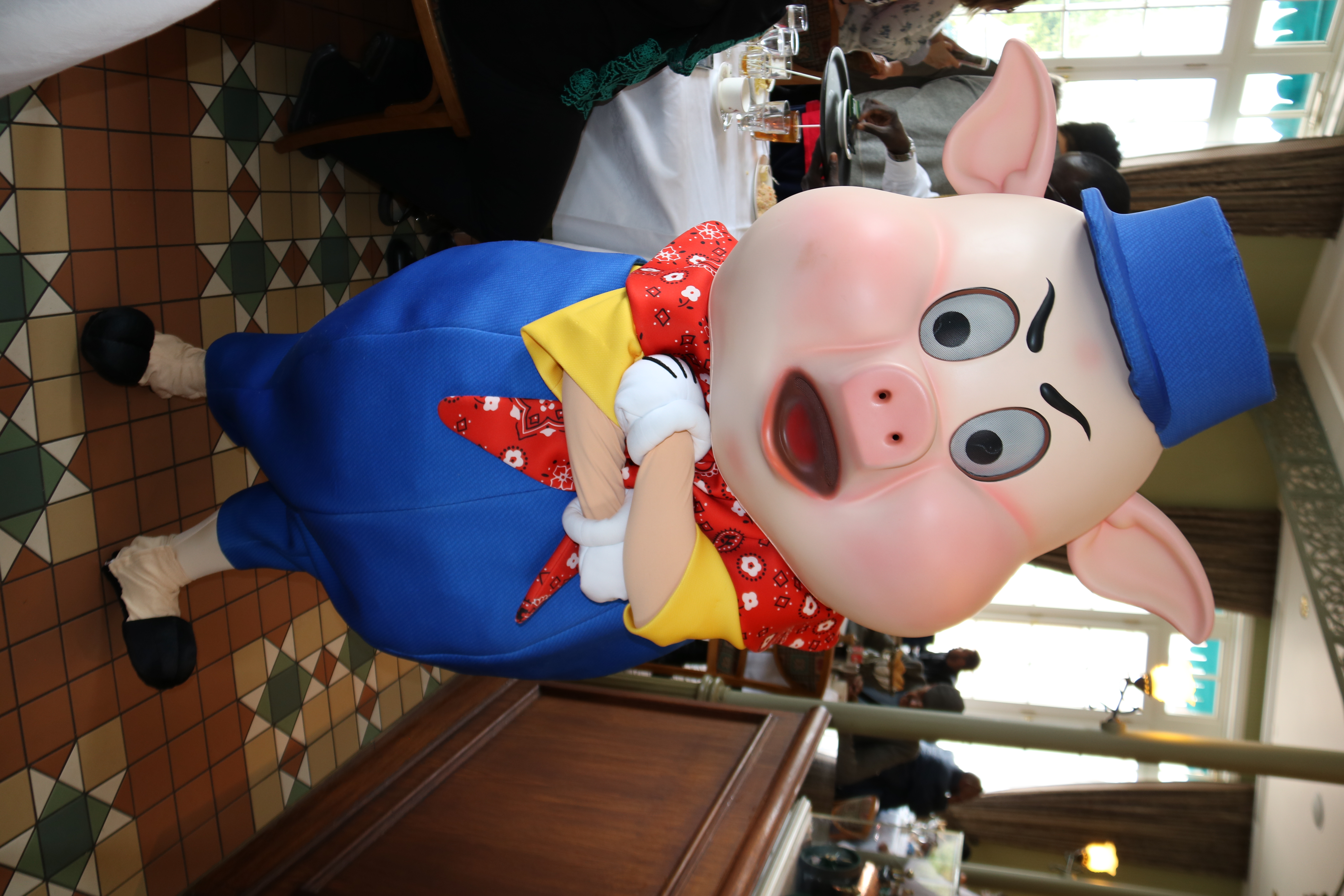 Practical Pig