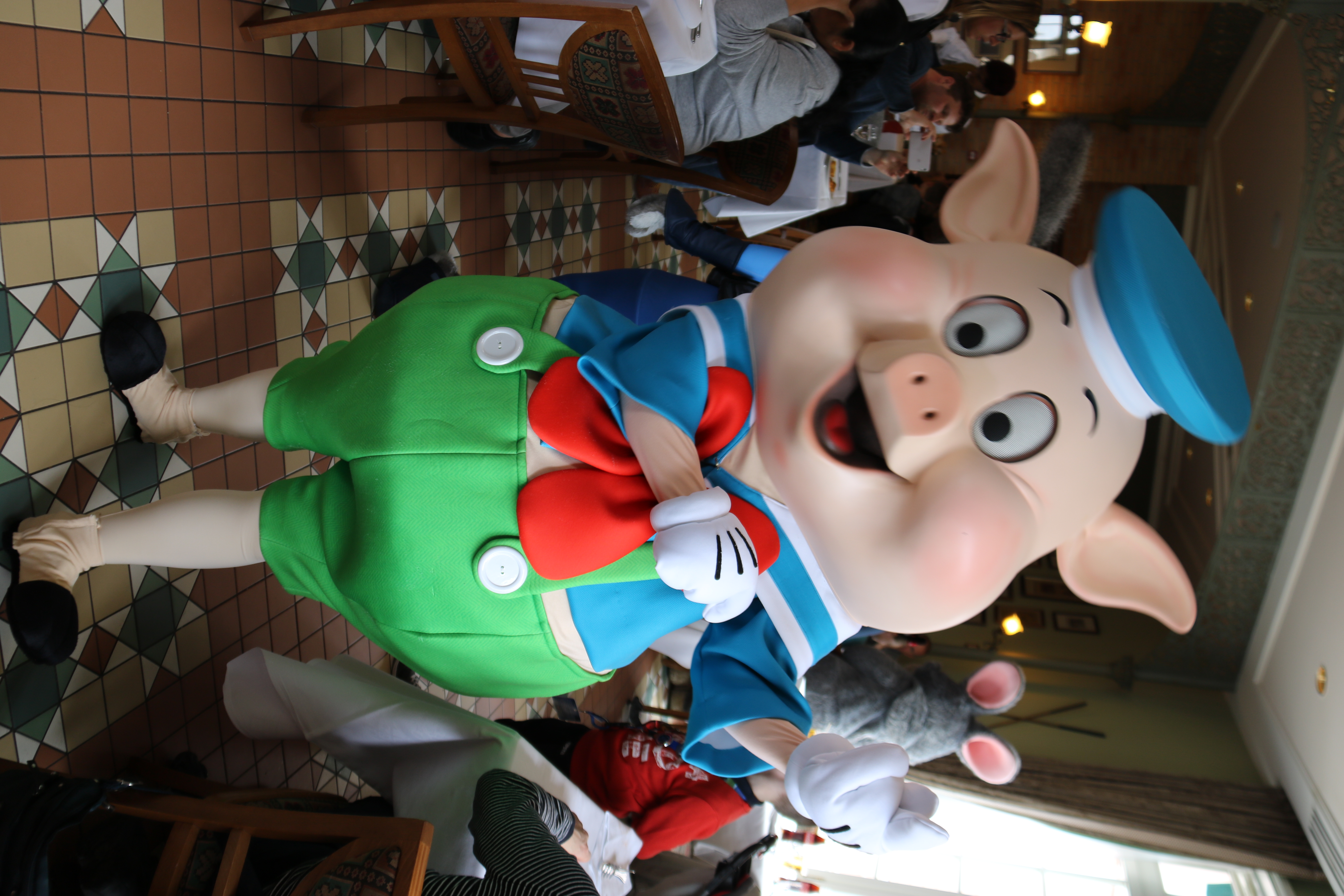 Fiddler Pig
