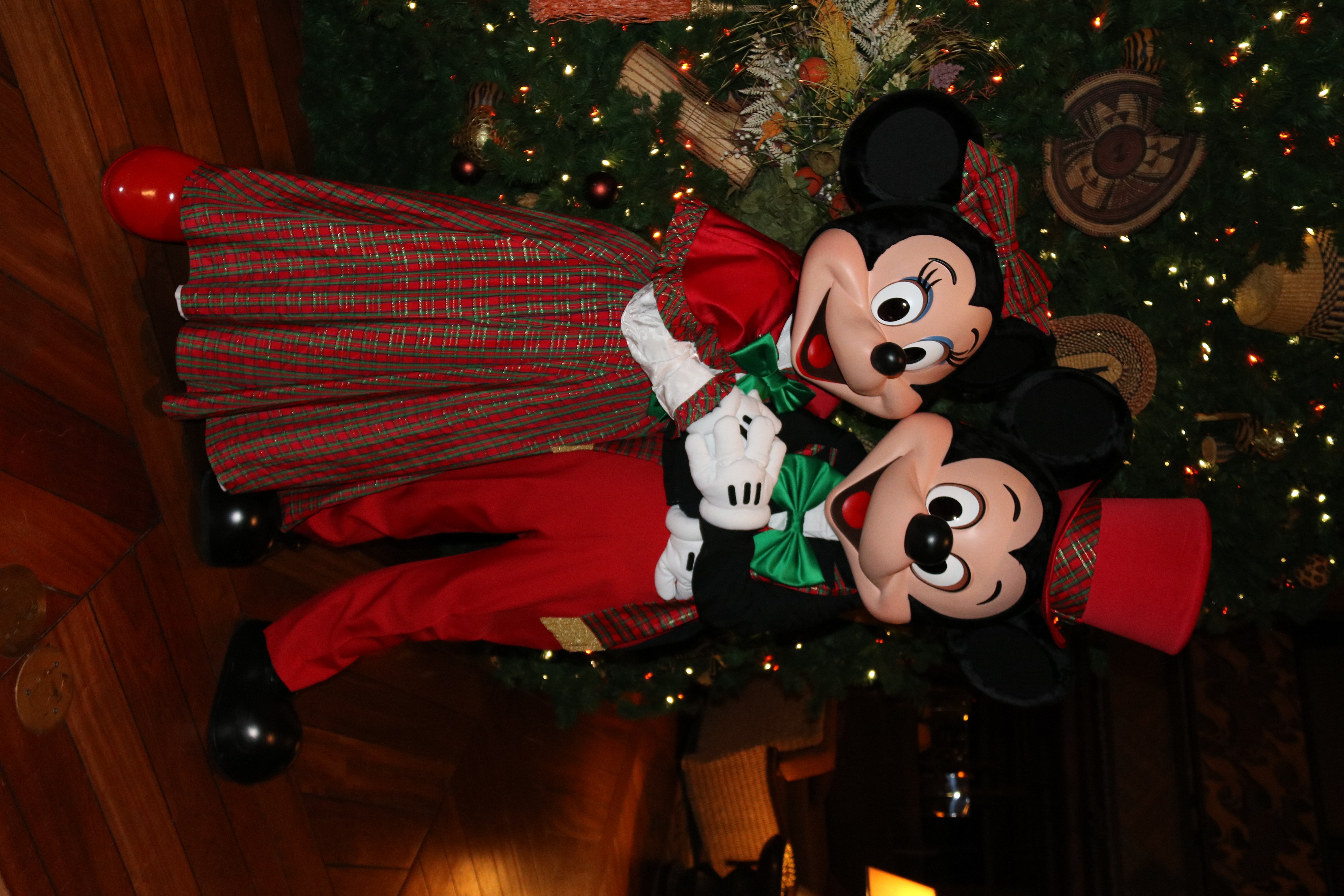 Animal Kingdom Lodge