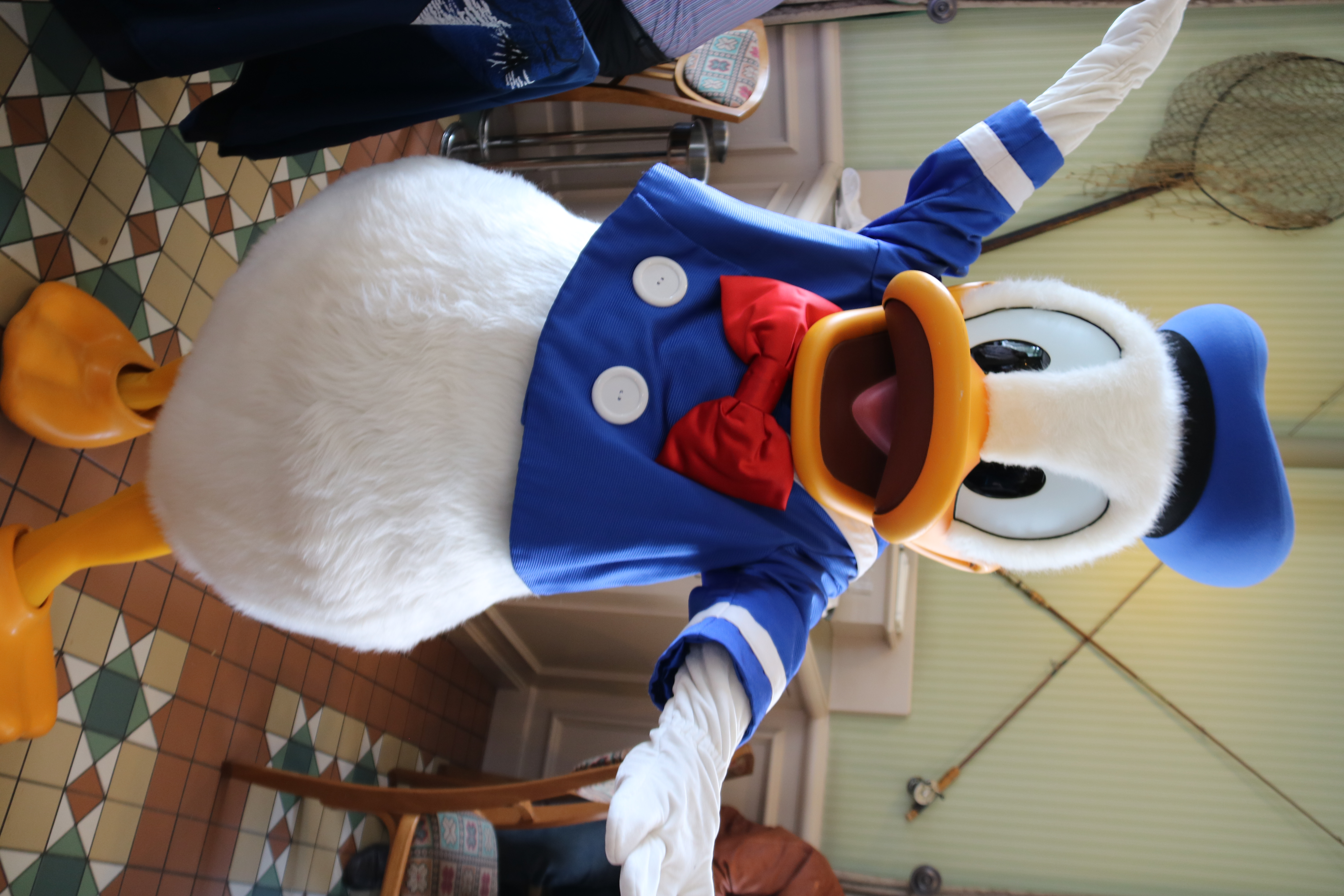 Donald Duck