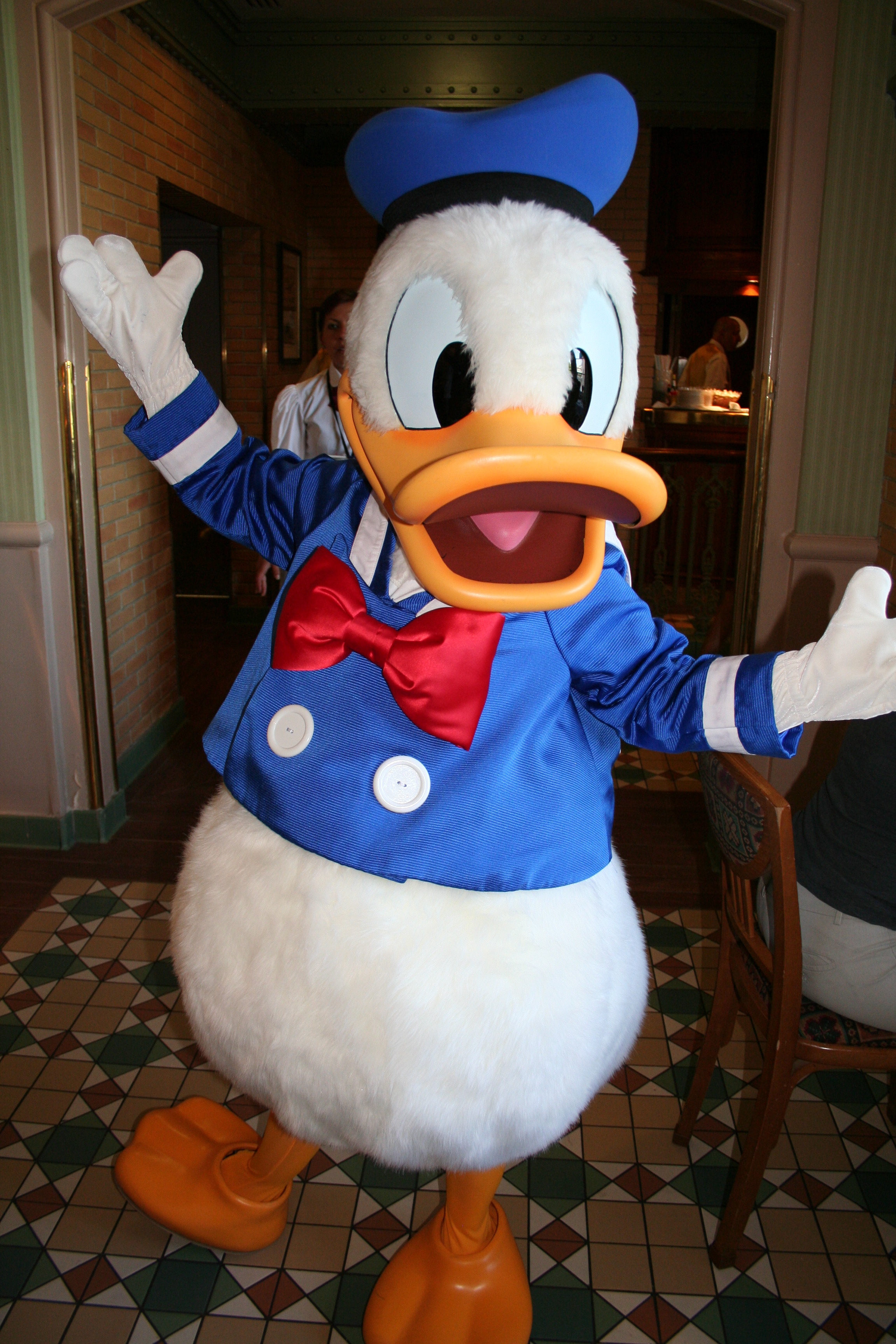 Donald Duck