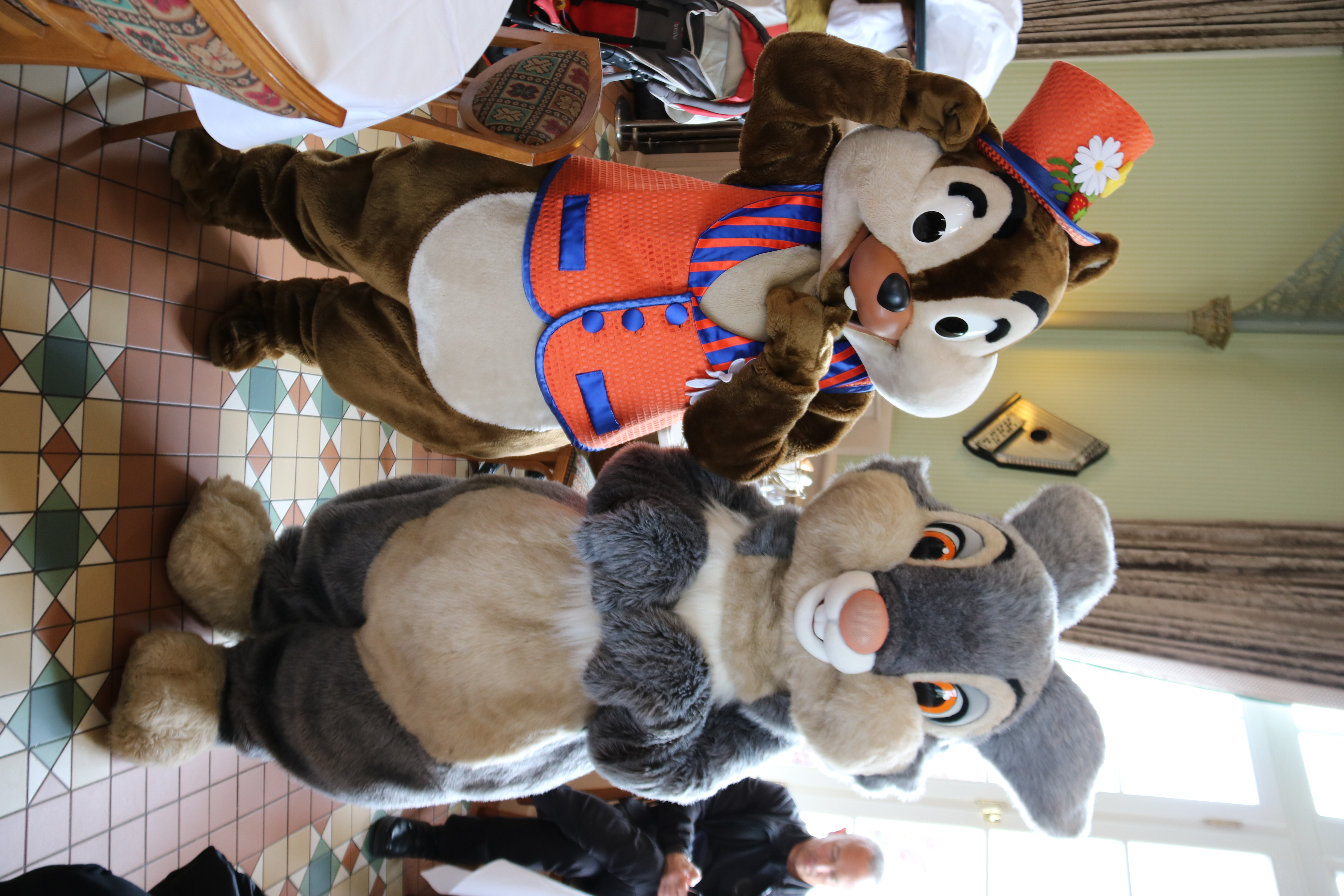 Chip and Thumper
