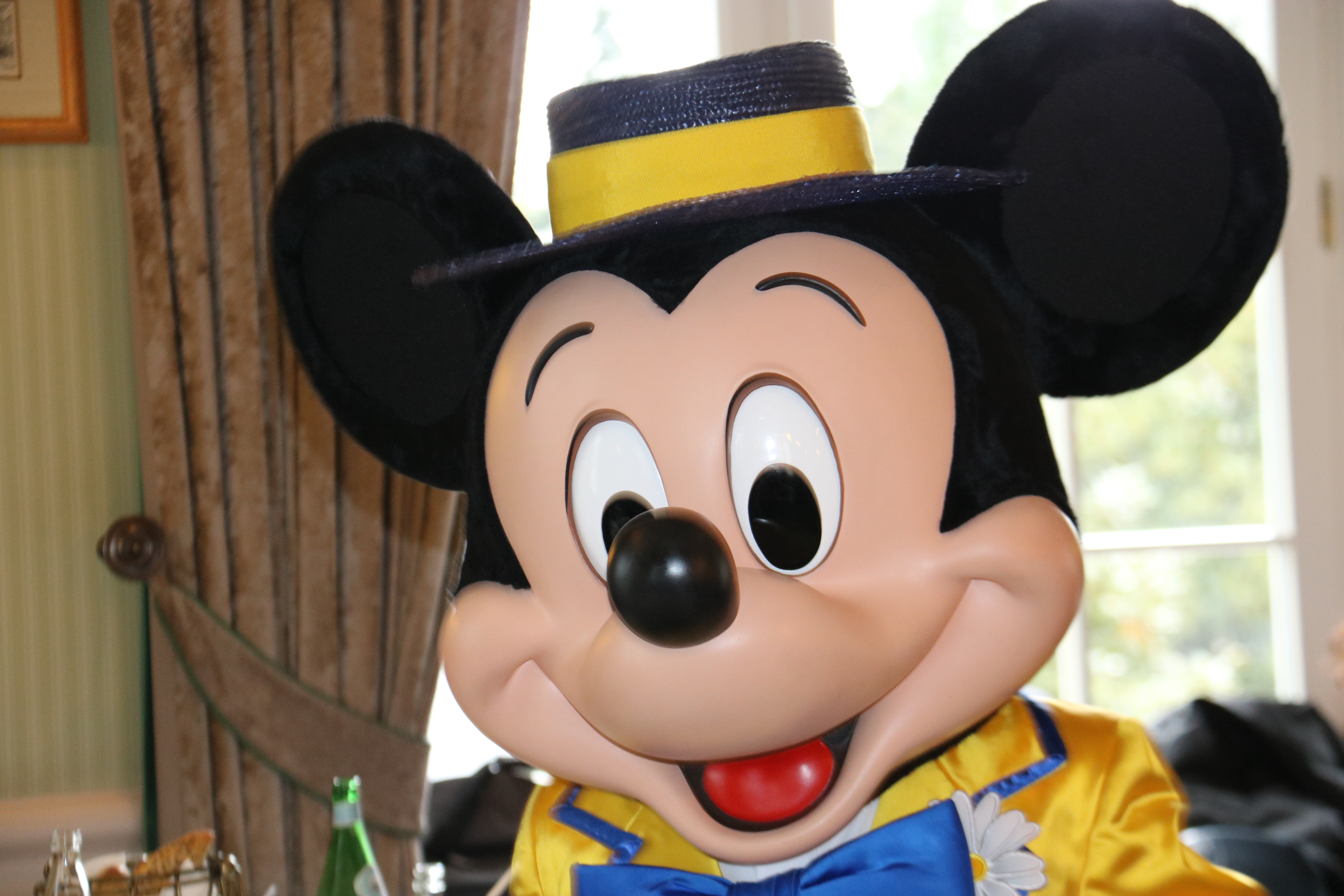 Mickey Mouse