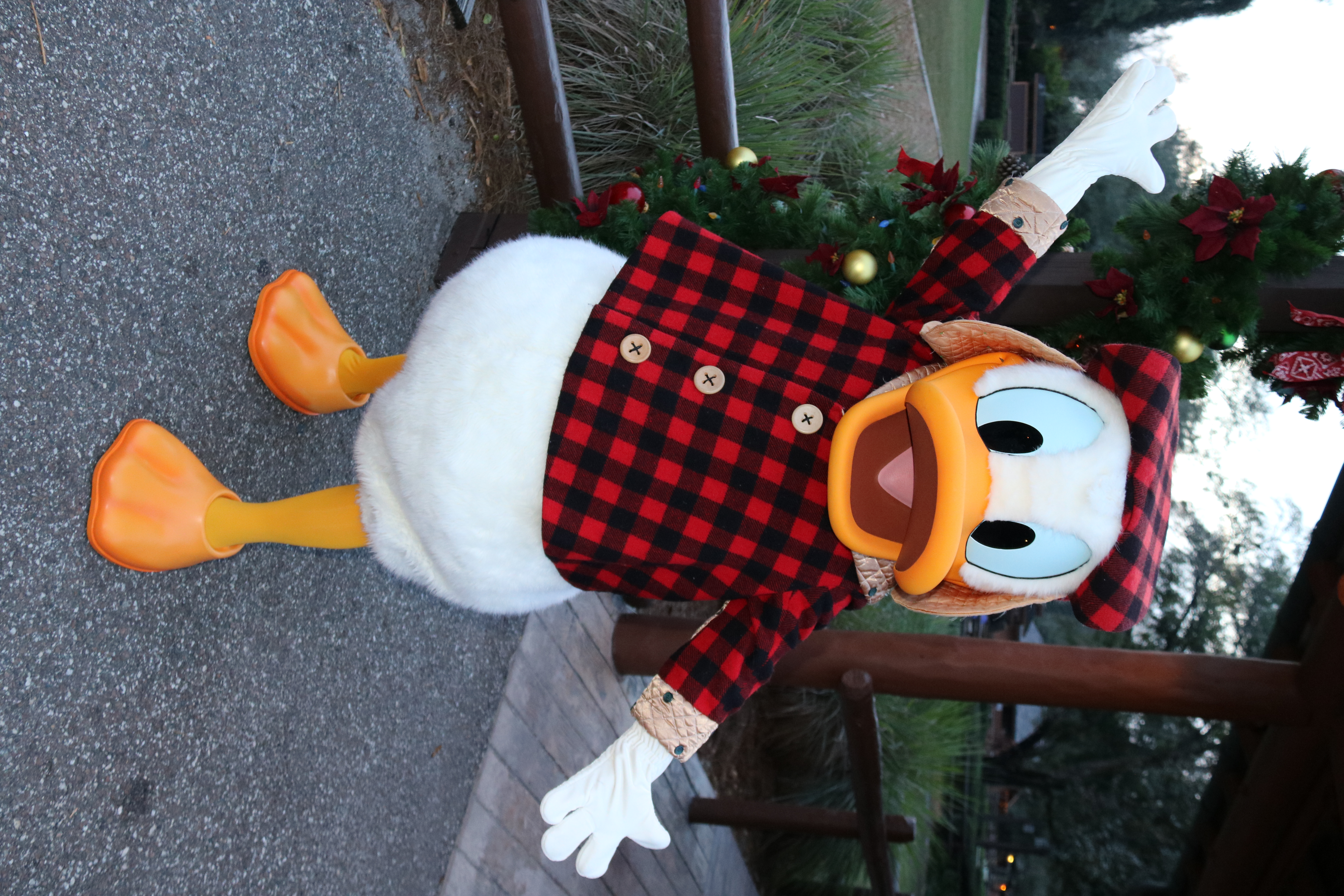 Fort Wilderness